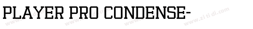 Player Pro Condense字体转换